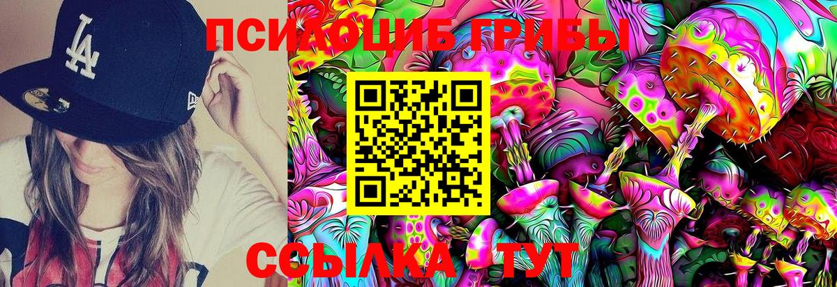 Каменск-Шахтинский  Псилоцибиновые грибы GOLDEN TEACHER  Псилоцибиновые грибы мицелий  Вход с VPN 